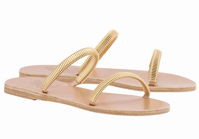 Sandales à Glissière Ancient Greek Sandals Saita   | EPC-4212518